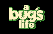 A Bug's Life